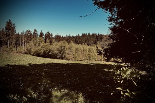 Omgeving - 1
