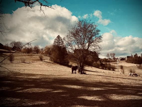 Omgeving - 2