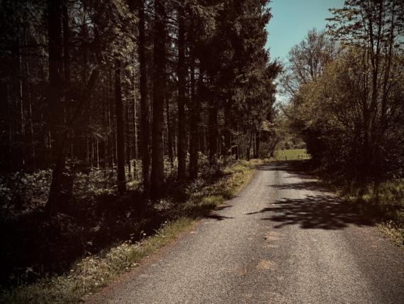 Omgeving - 2
