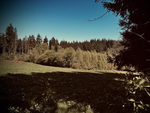 Omgeving - 2